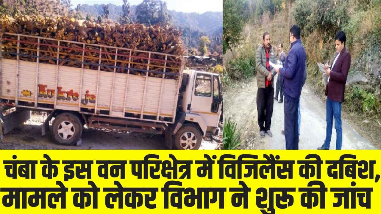 Himachal News: चंबा के इस वन परिक्षेत्र में विजिलेंस की दबिश, मामले को लेकर विभाग ने शुरू की जांच