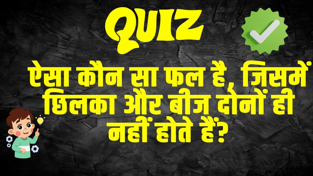 General Knowledge Question : ऐसा कौन सा फल है, जिसमें छिलका और बीज दोनों ही नहीं होते हैं?