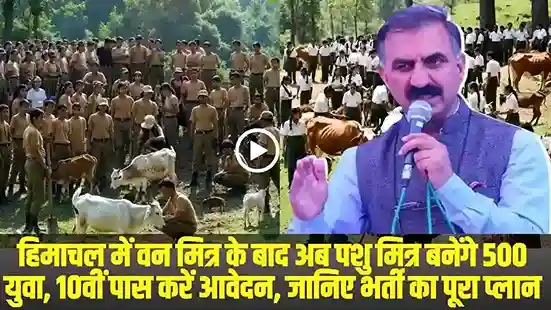 Pashu Mitra Bharti Himachal || हिमाचल में वन मित्र के बाद अब पशु मित्र बनेंगे 500 युवा, 10वीं पास करें आवेदन, जानिए भर्ती का पूरा प्लान