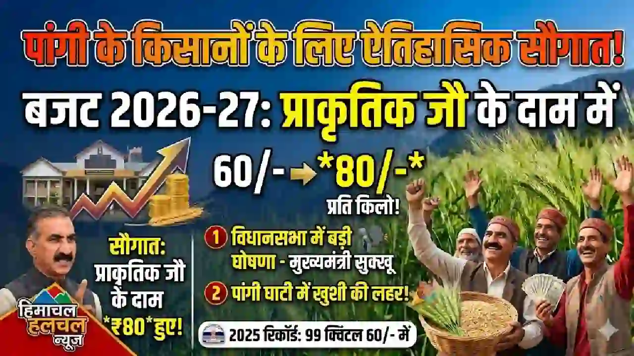 Himachal Budget: पांगी के किसानों के लिए खुशखबरी, सुक्खू सरकार ने प्राकृतिक जौ के दाम में की 20 रूपये की बढ़ोतरी